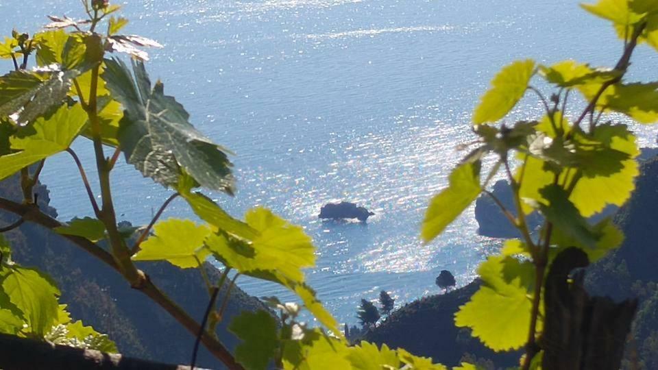 Casa Il Faro Villa Con Piscina Castelmola Εξωτερικό φωτογραφία